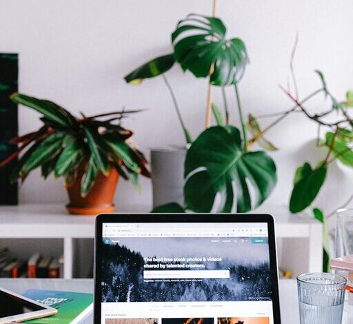 Tips for Creating a Productive Home Office Environment